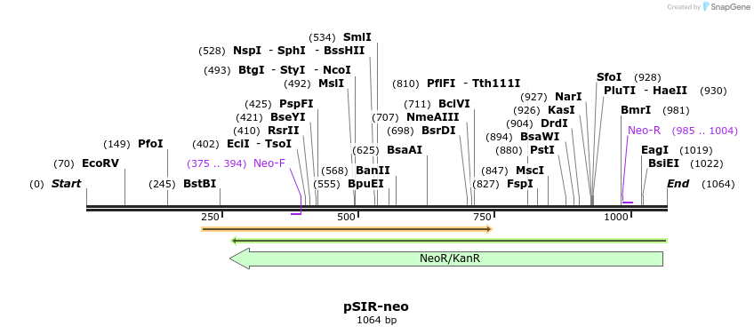 135006_map