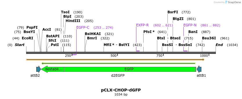 135013_map