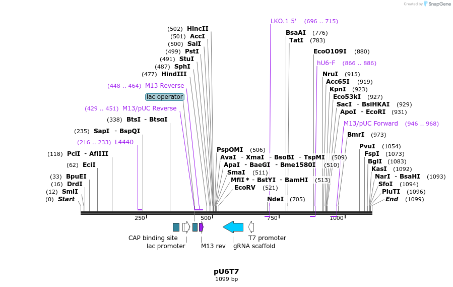 135015_map