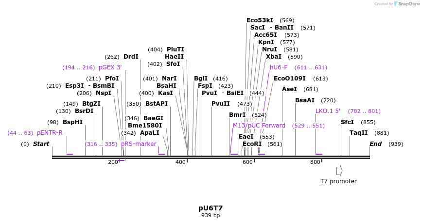 135016_map