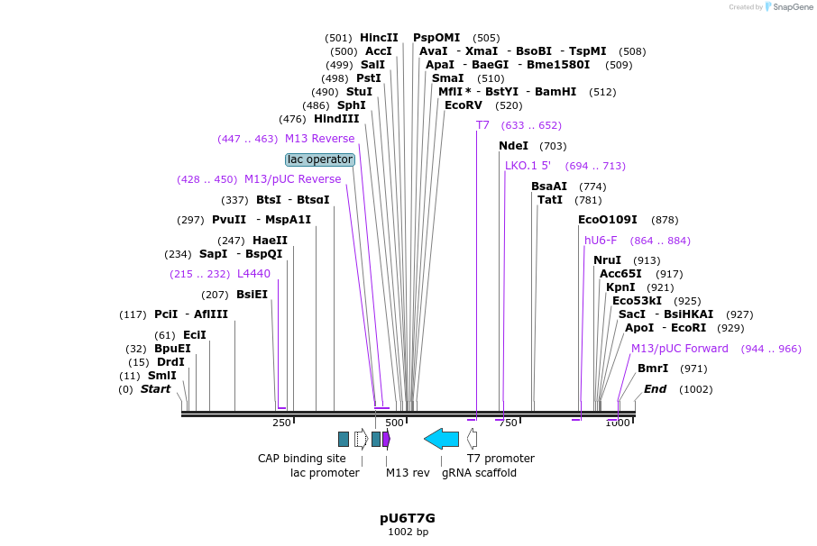 135017_map