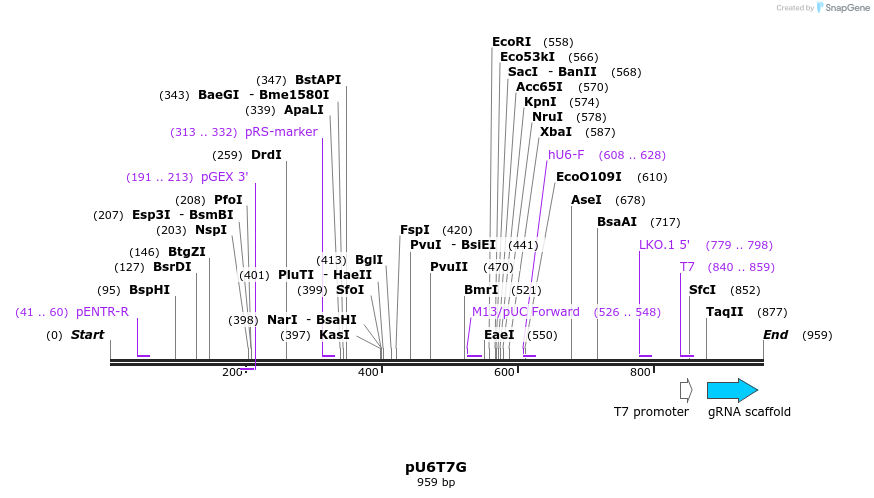 135018_map