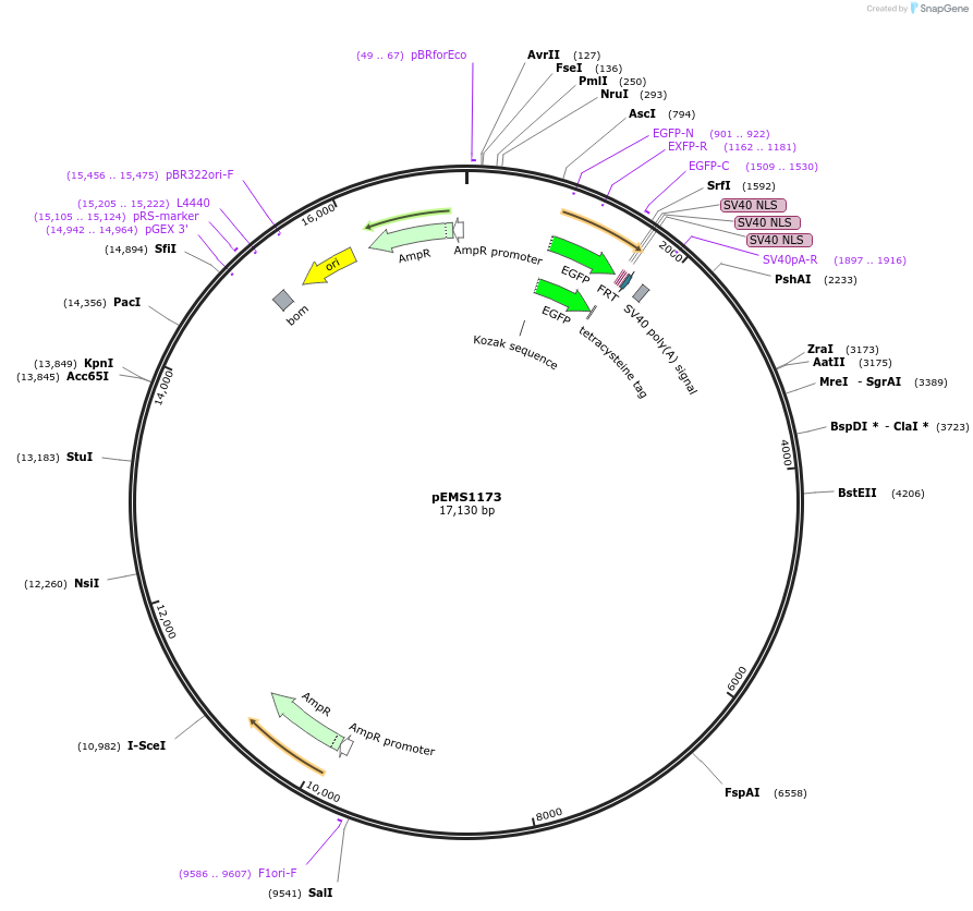 13502_map