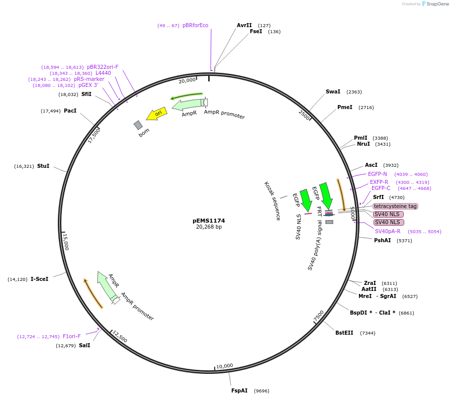13503_map