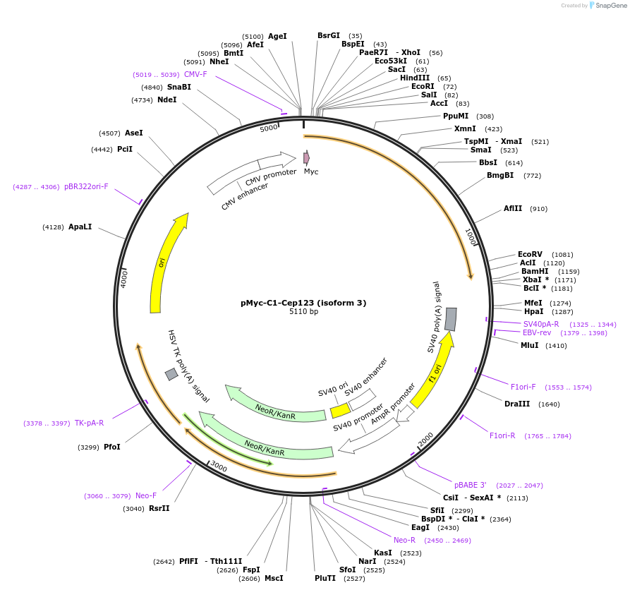 135039_map