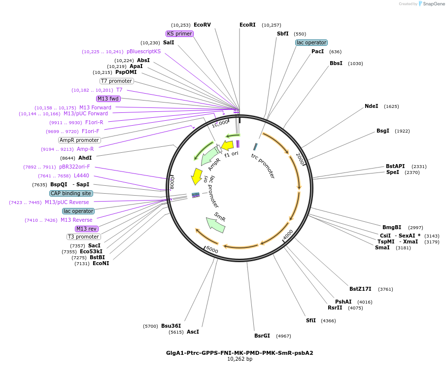 135052_map