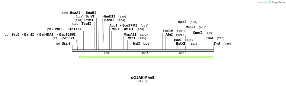 135060_map
