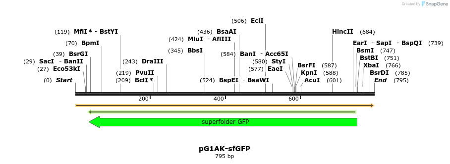 135063_map