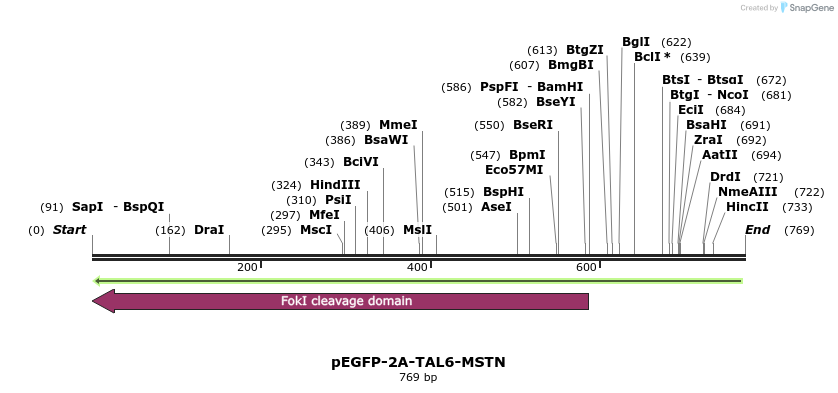 135066_map