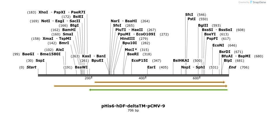 135070_map