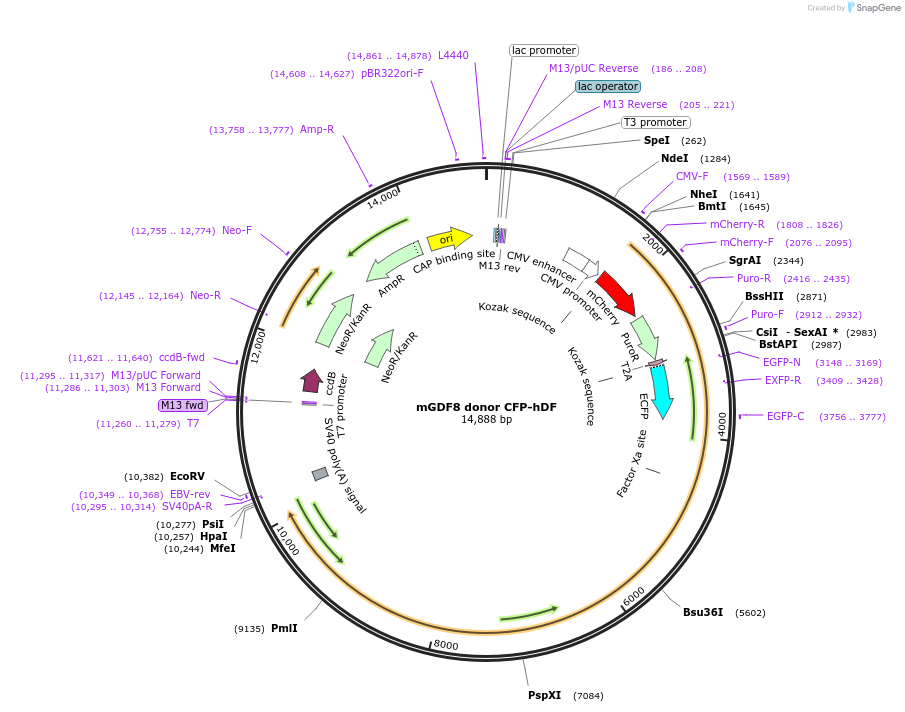 135073_map