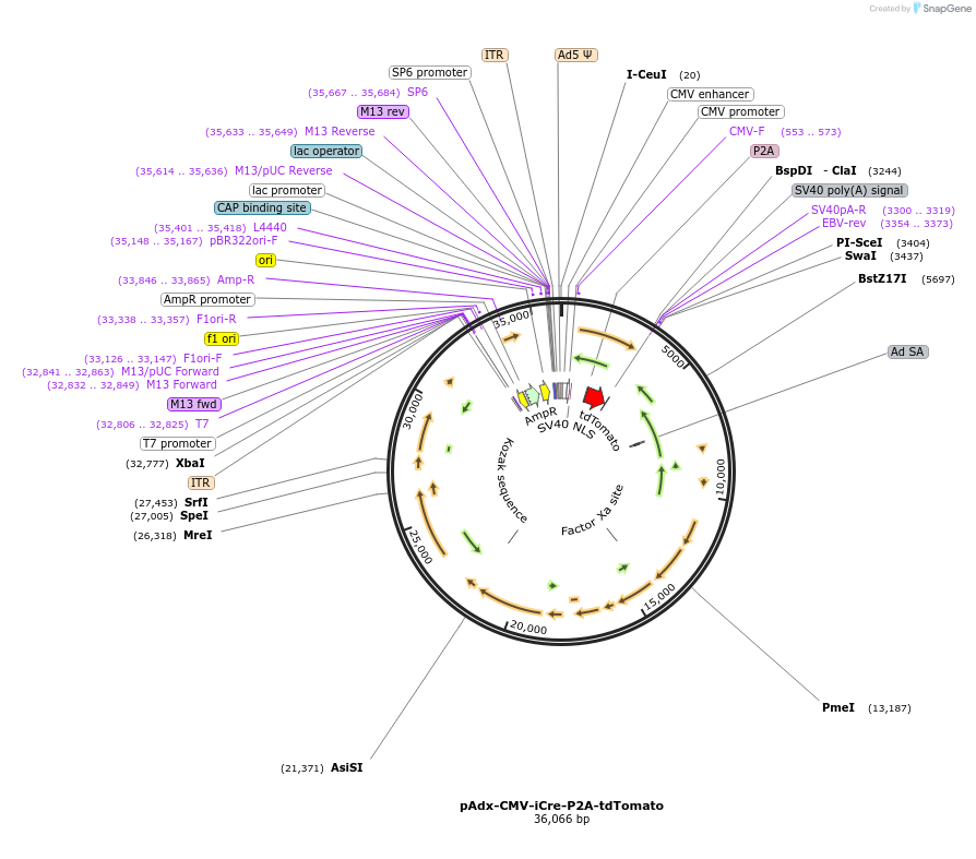 135084_map