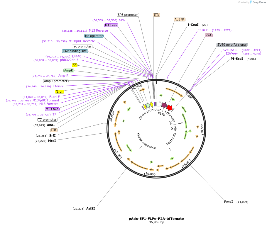 135085_map
