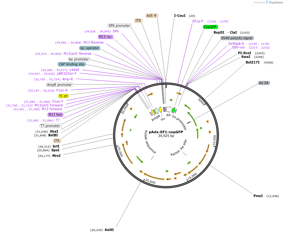 135086_map