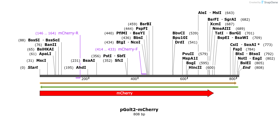 135092_map