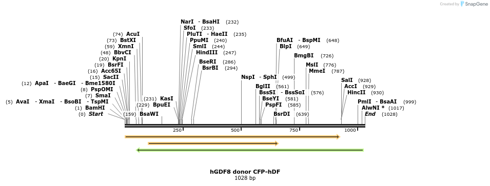 135097_map