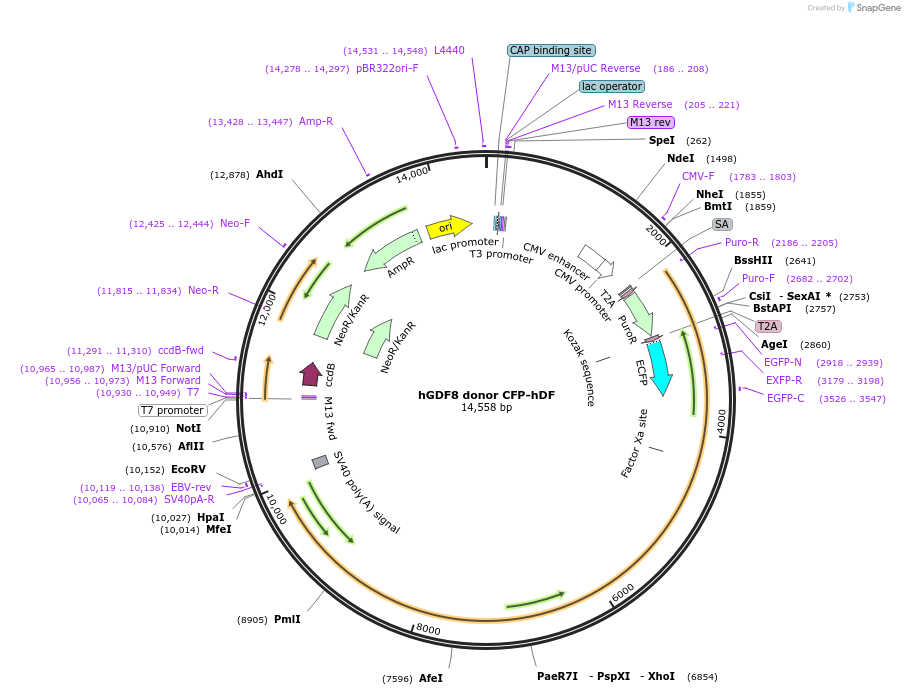 135098_map
