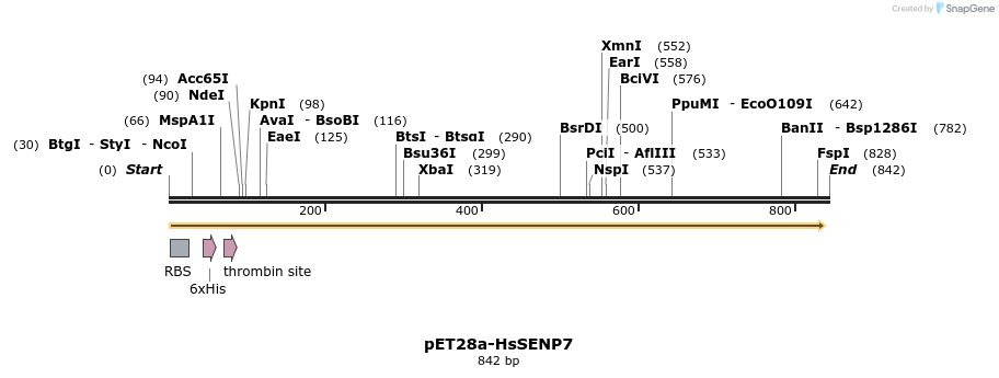135100_map