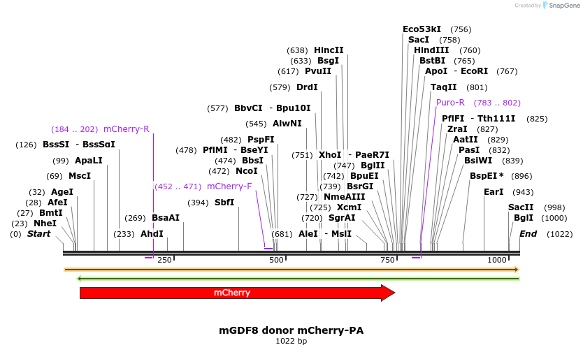 135103_map