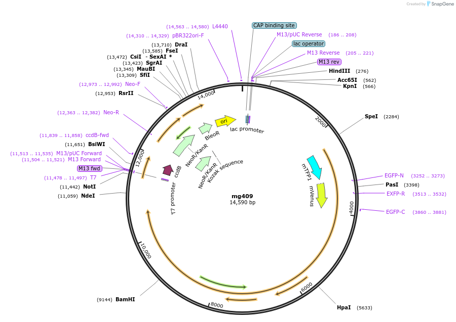 135104_map