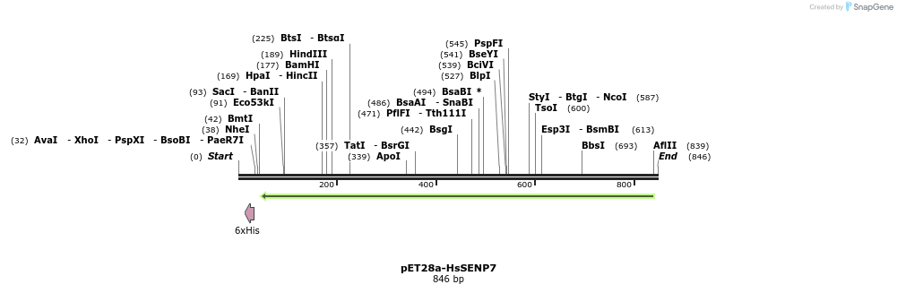135105_map