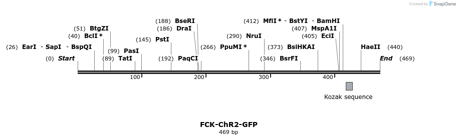 135113_map