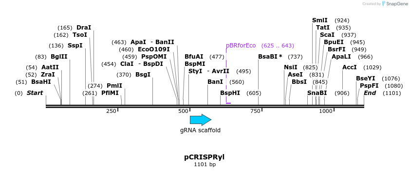 135114_map