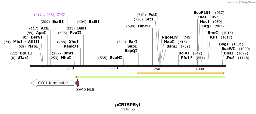 135115_map