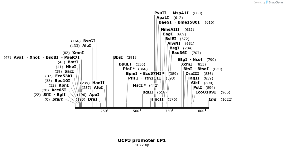 135116_map