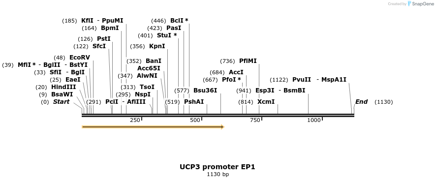 135117_map
