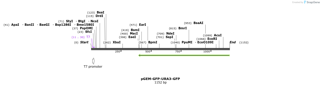 135118_map