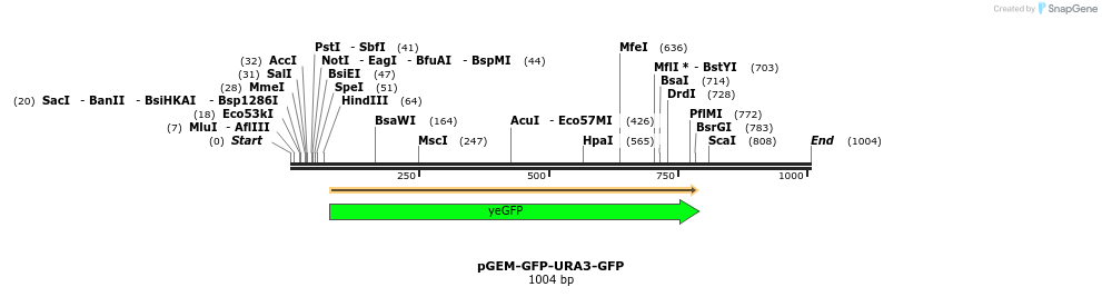 135119_map