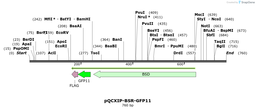 135125_map