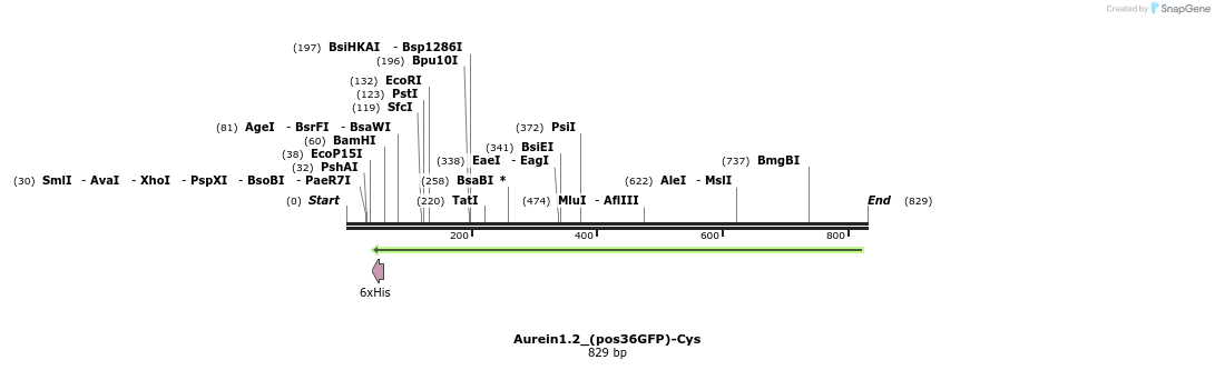 135148_map
