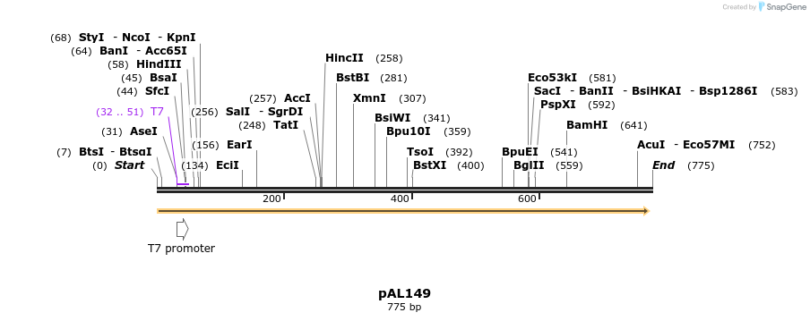 135150_map