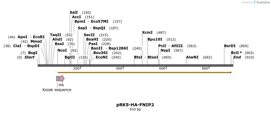 135155_map