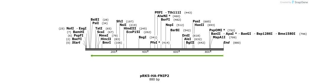 135156_map