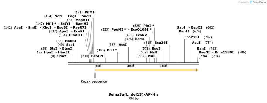 135157_map