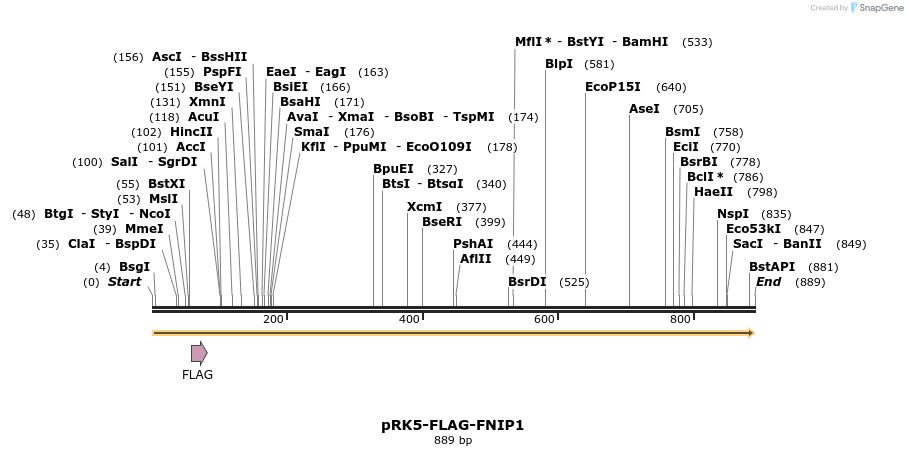 135160_map