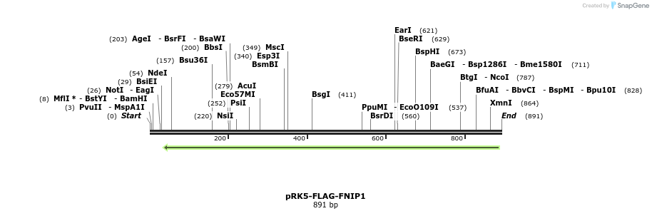 135162_map