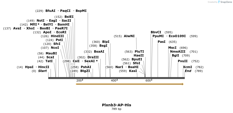 135168_map