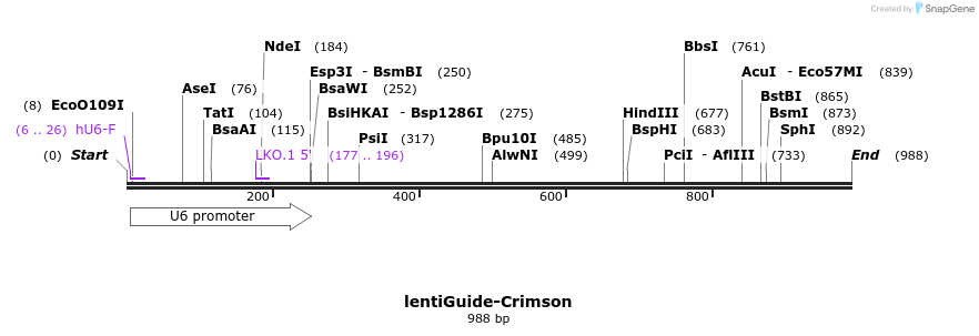 135169_map