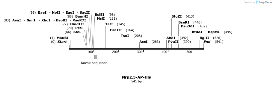 135170_map