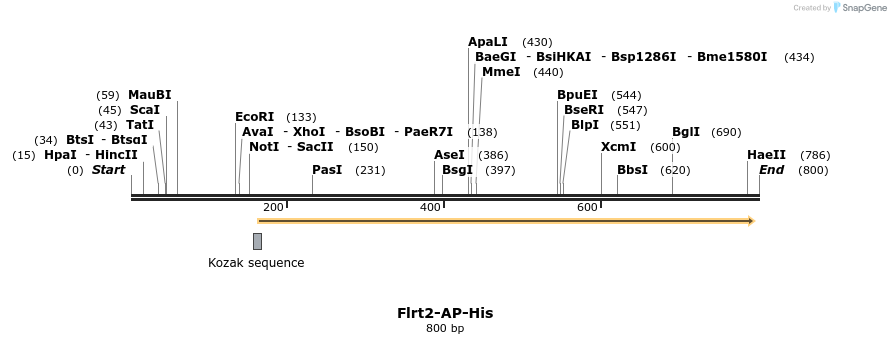 135174_map