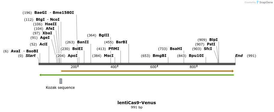135175_map