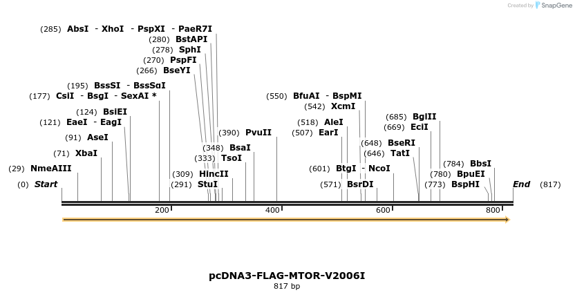 135176_map