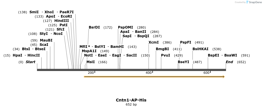135177_map