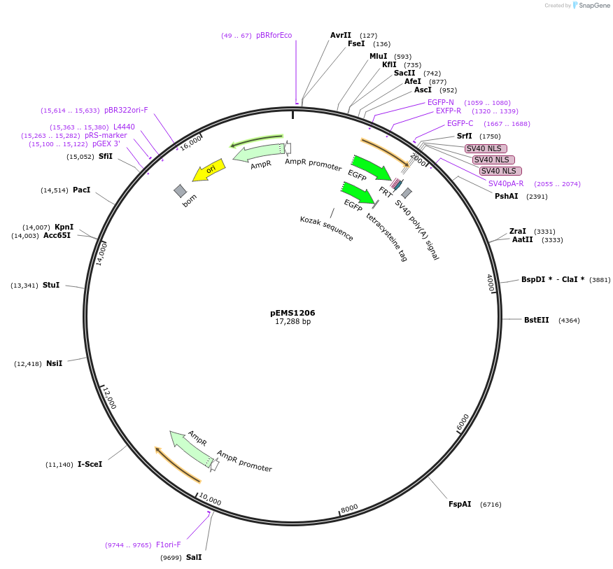 13518_map
