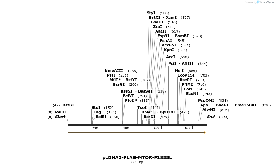 135180_map