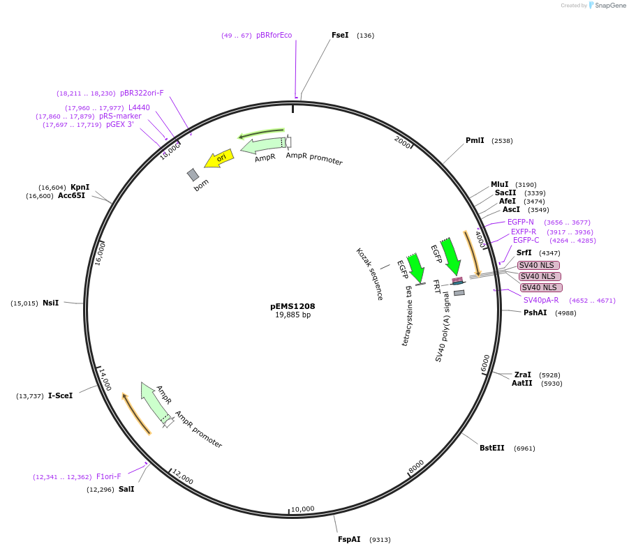 13520_map
